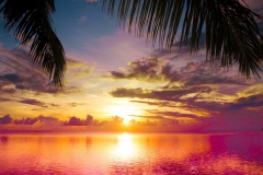 Nature-1