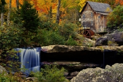 Nature-10