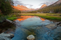 Nature-11