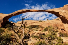Nature-13