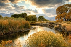 Nature-16