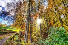 Nature-4