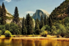 Nature-5