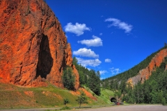 Nature-8